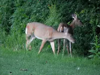 K1600_DSCN4121.webp