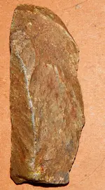 DSCN7613.webp
