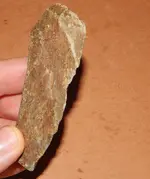 DSCN7614.webp