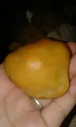 20170824_042359.webp