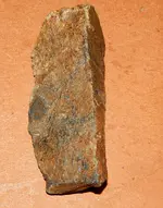 DSCN7615.webp