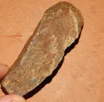 DSCN7616.webp