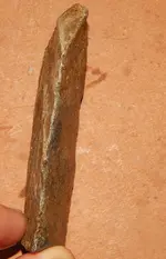 DSCN7617.webp