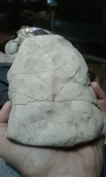 20170819_161132.webp