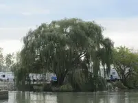 IMG_0025 (2).webp IMG_0025 (2).webp