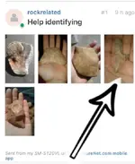 ImageUploadedByTreasureNet.com1505103613.280527.webp
