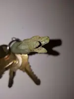 whtsit 5.webp