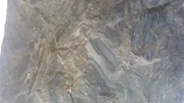 20170920_150904-ccfopt.webp