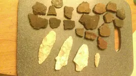 IMAG2157.webp