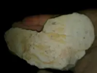 1505109606569.webp