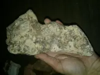 1505109731506.webp