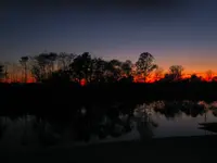 sunset01.webp