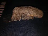 20171023_204246.webp