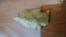 20170902_162056.webp