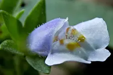 20170920.webp