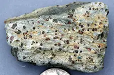 GarnetInSchist-2017-SD-Trip-Img_5484SSSS.webp