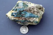 Apatite-2017-SD-Trip-Img_5487SSSS.webp