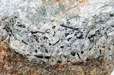 BlackTourmaline-2017-SD-Trip-Img_5480SSSS.webp