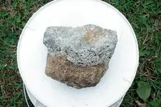 BlackTourmaline-2017-SD-Trip-Img_5481SSSS.webp