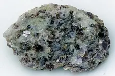Muscovite-2017-SD-Trip-Img_5472SSSS.webp