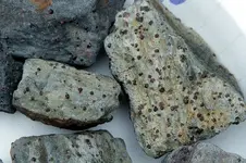 GarnetInSchist-2017-SD-Trip-Img_5476SSSS.webp