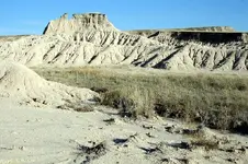 SD-BlackHillsArea-FossilHunt-2017-10-22-Img_5464SSS.webp