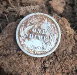 Finds  (1).webp