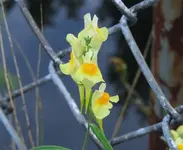 K1600_DSCN4836.webp
