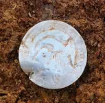 Finds  (5).webp