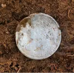 Finds  (6).webp
