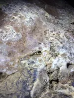 ImageUploadedByTreasureNet.com1507576929.459642.webp