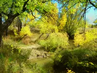 walk 100717 2.webp
