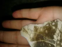 1505149302188.webp
