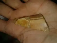 1505149469667.webp