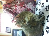 IMG_1173.webp IMG_1173.webp