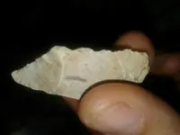 1505149584343.webp