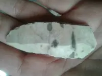 1505149666247.webp