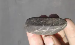 20170914_123213.webp