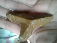 1505149929319.webp