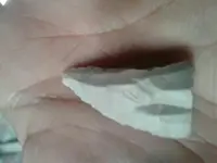 1505149995624.webp