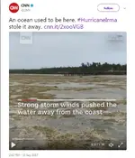 CNN - irma.webp