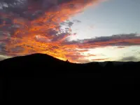1006171859a.webp