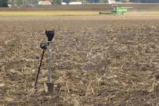 Field Hunt & School 009.webp