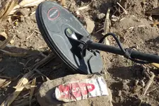 Field Hunt & School 012.webp