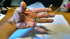 wiref.webp