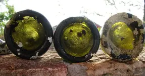 bottle bottoms x 37.webp