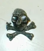 skull.jpeg.webp