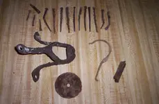 CatHollowFinds 3 20 08.webp