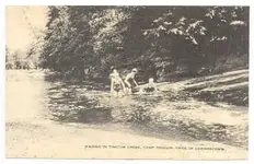 nn679Swimming Tinicum Creek Camp YWCA Germantown PA.webp
