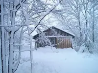 IM000906s.webp